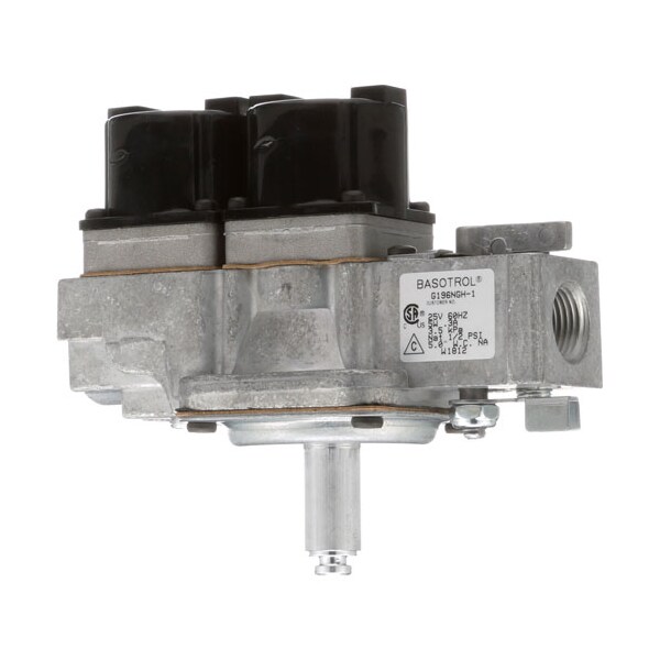 Valve, Dual Gas Solenoid - 24V